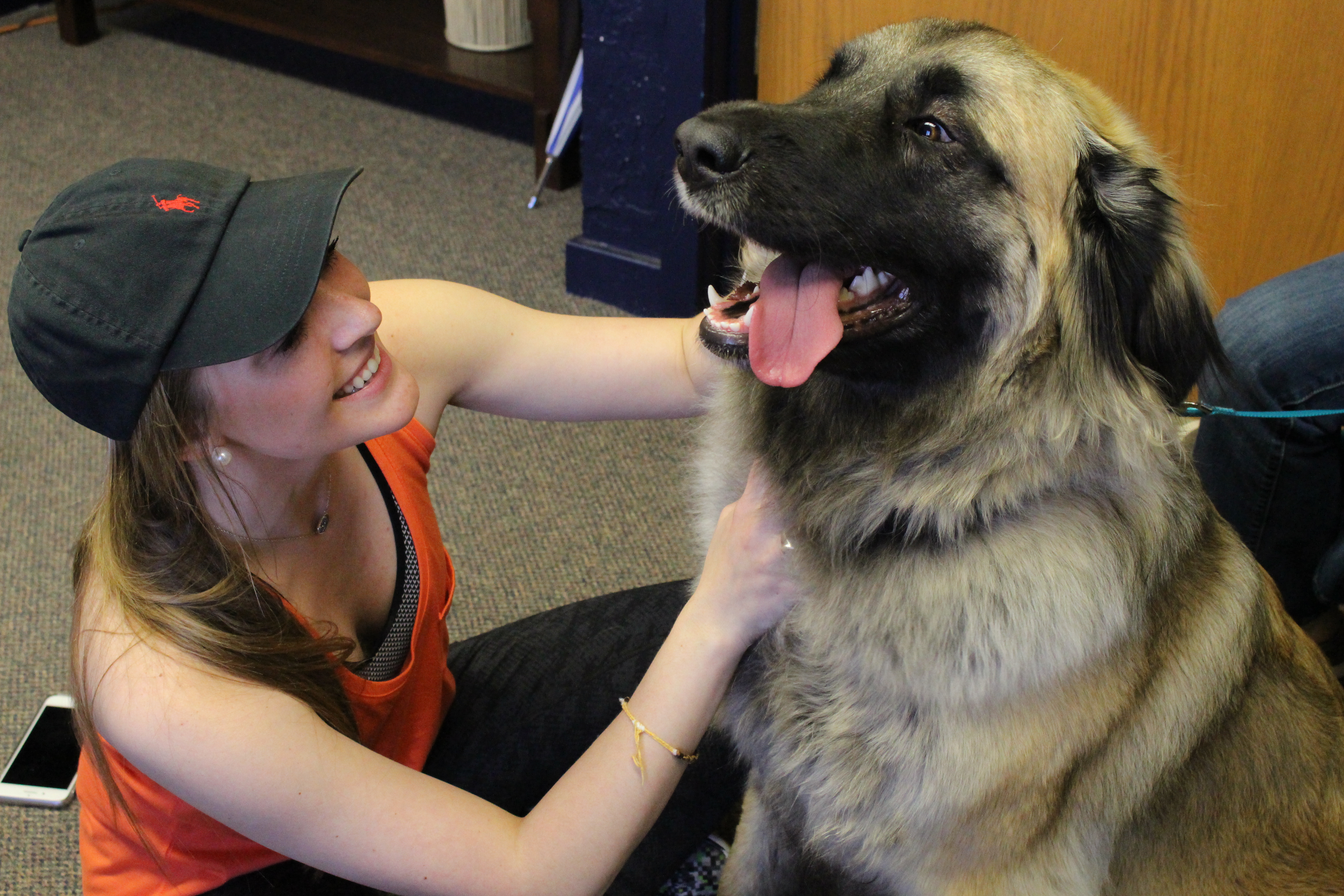 Canine Care…Training, raising therapy dogs takes patience, dedication