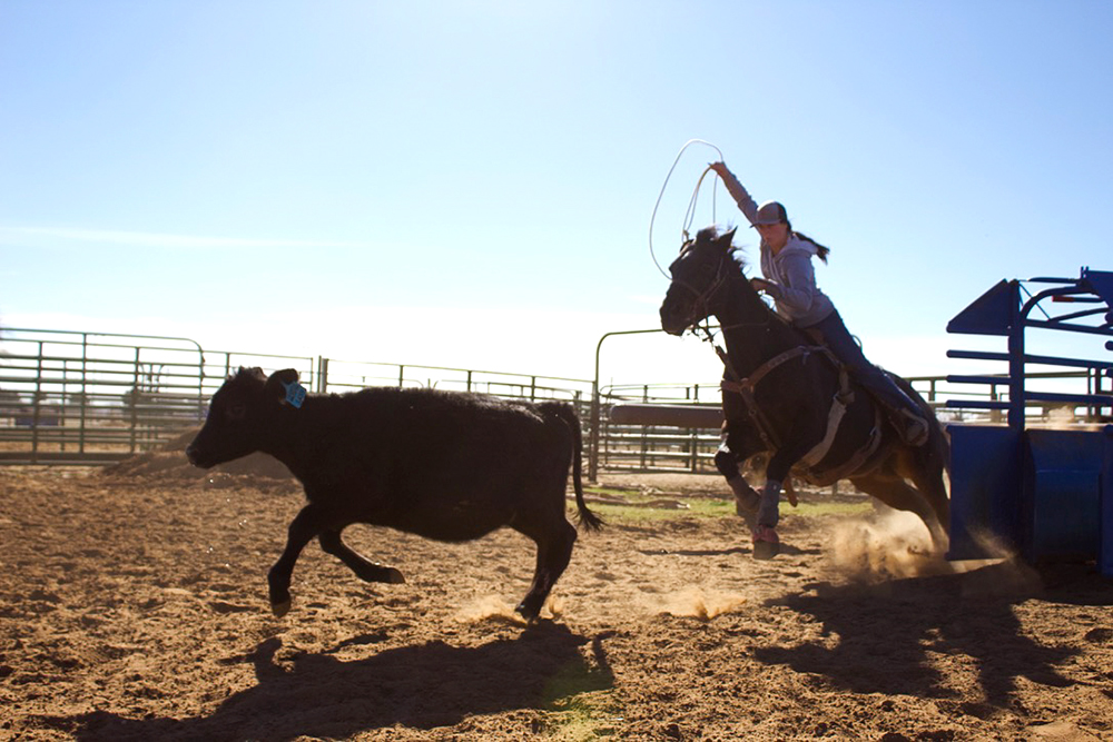Rodeo spotlight: Guthrie finds home at SPC