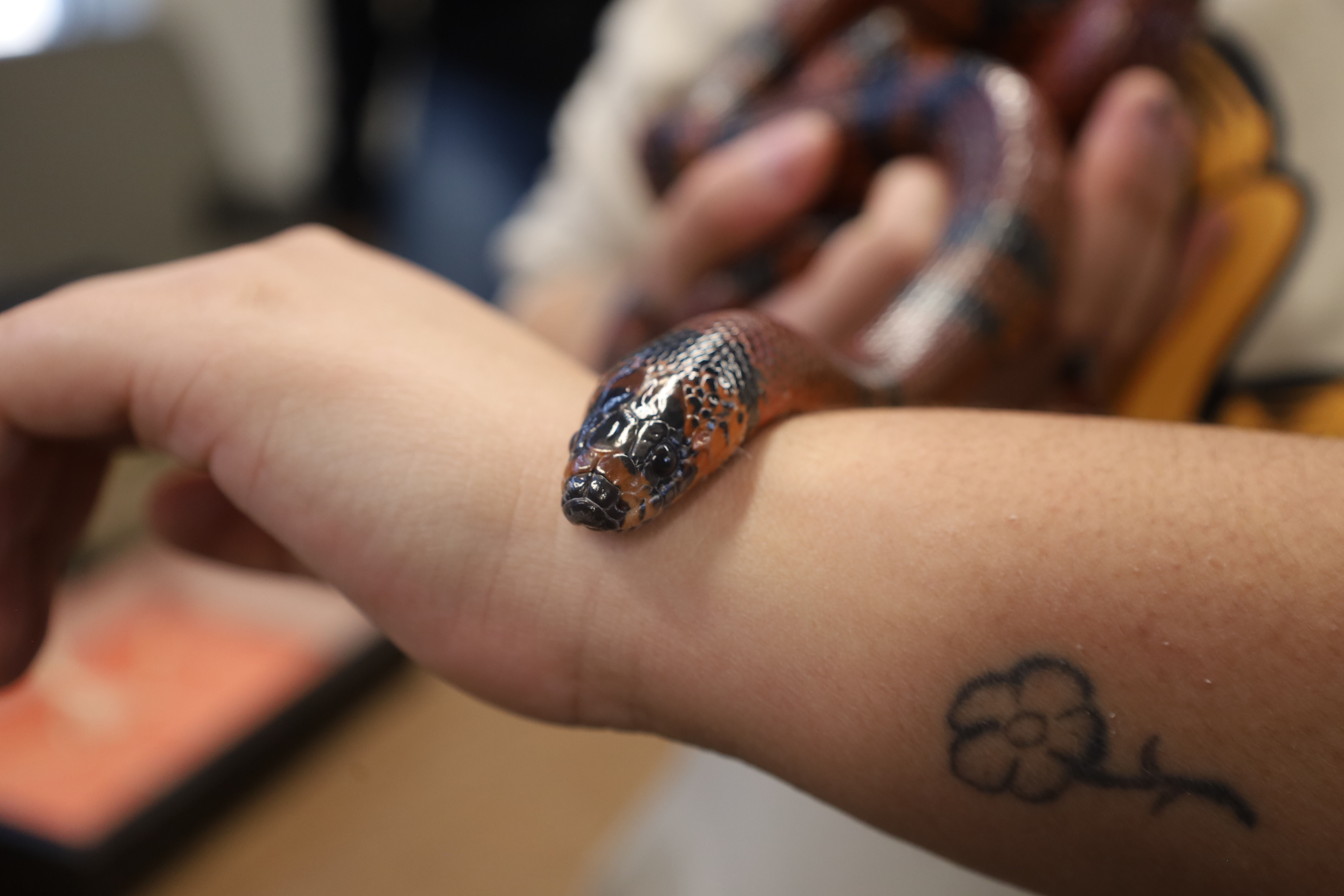 Haunting memories from Spooky Science