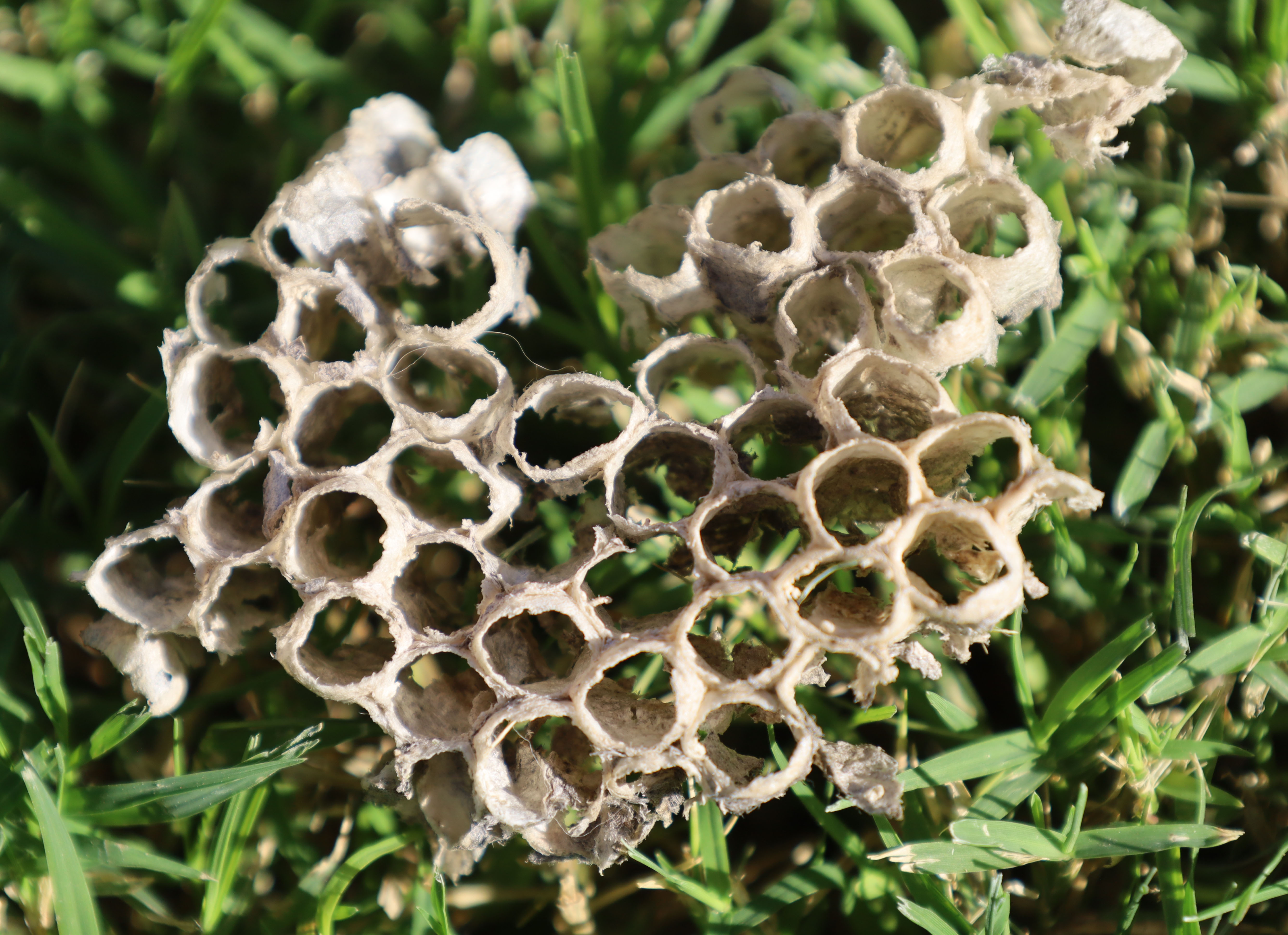 Power in patterns: Students capture patterns on campus