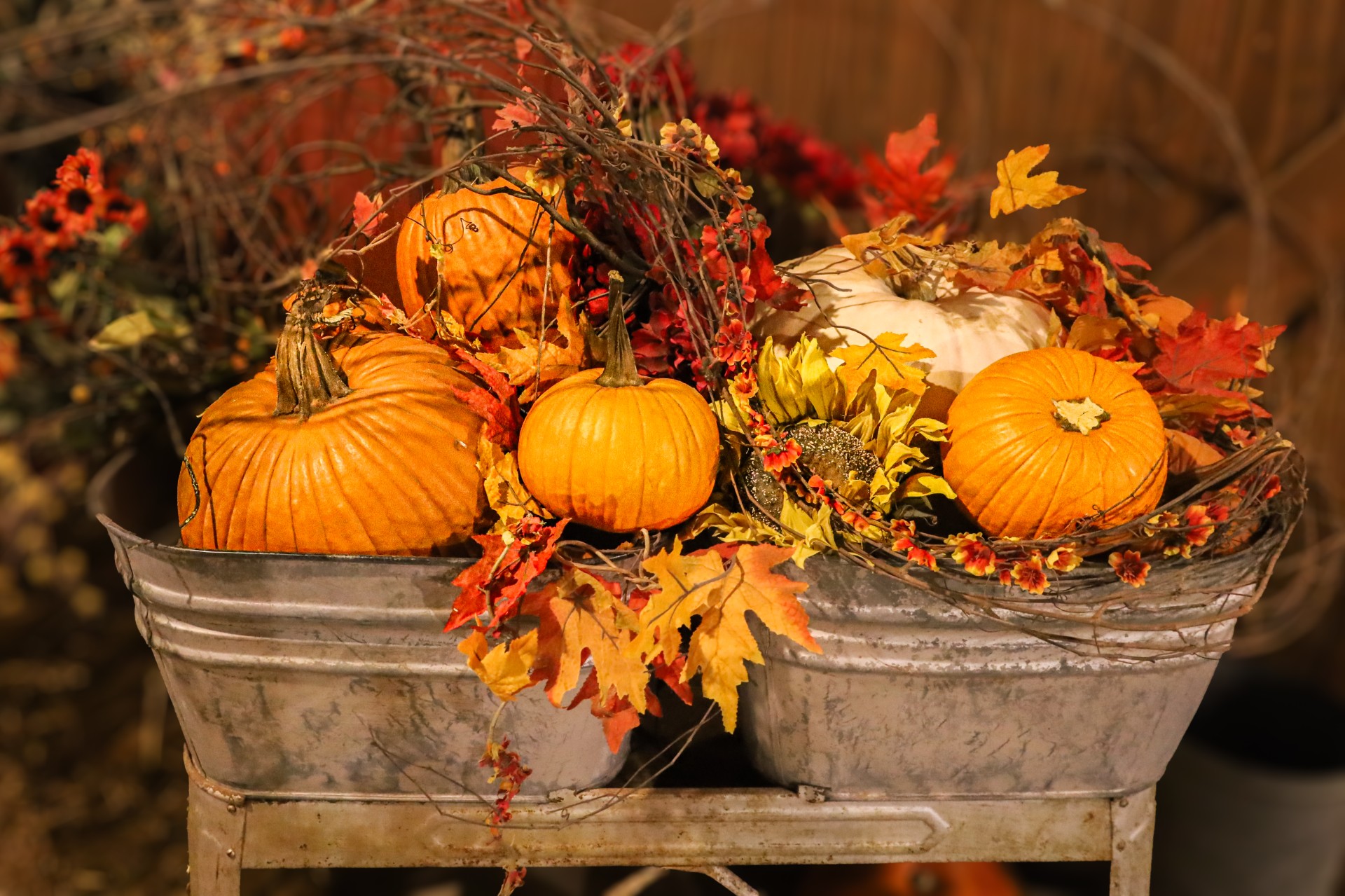 Picture This: Finding Fall