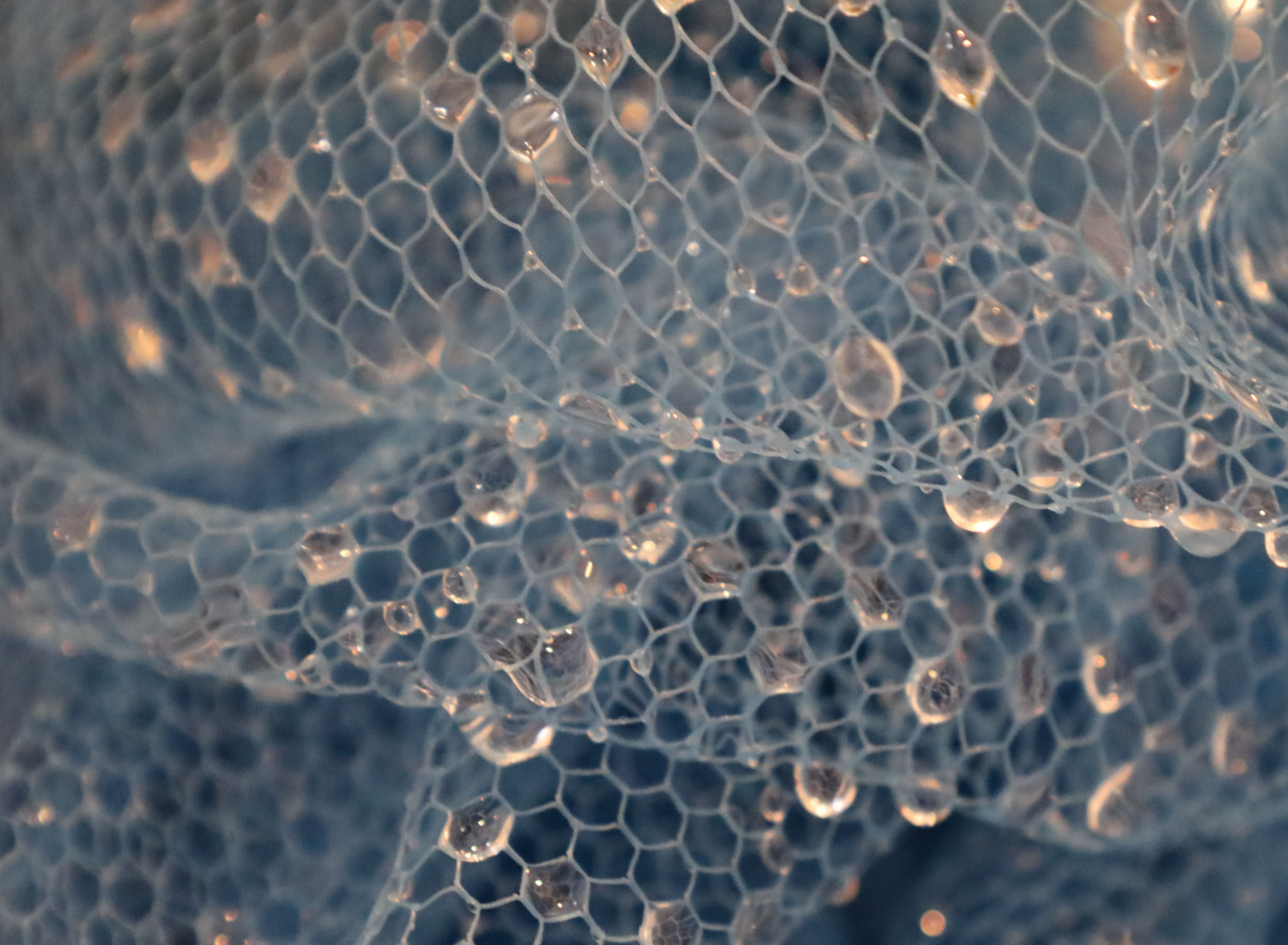 Picture This: Interesting Patterns